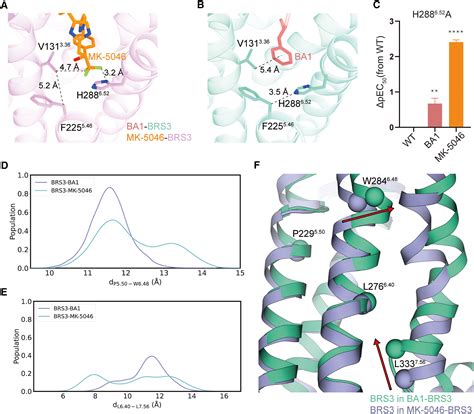 Structural Insights Into Ligand Recognition Selectivity And