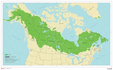 Boreal forest - Natural Resources Canada