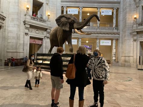 Smithsonian National Museum Of Natural History Guided Tour Utg Experience