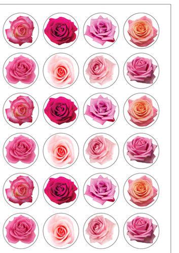 24 Pink Roses Rose Flower Pre Cut Edible Wafer Paper Toppers Top That