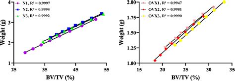 Frontiers Studying Trabecular Bone Samples Demonstrates A Power Law