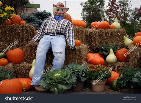 Autumn Display Of A Scarecrow Sitting On Bales Of Hay Surrounded By ...