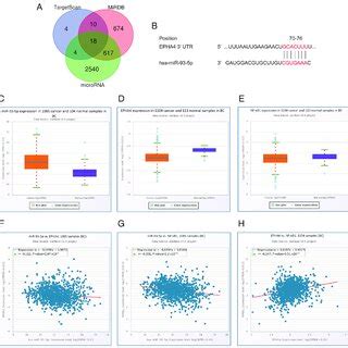 A Venn Diagram Of The Predicted Target Genes Of Mir P B Epha