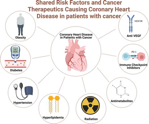 Shared Risk Factors And Cancer Therapeutics That Contribute To Coronary