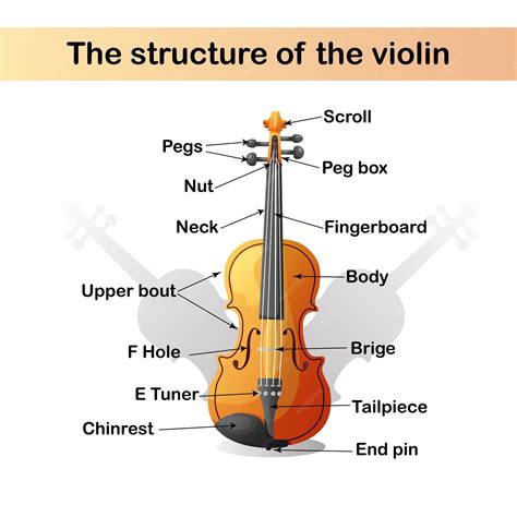 Violin Parts Diagram