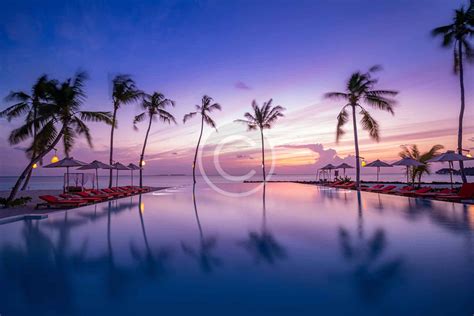 Infinity Pool Gajadreams