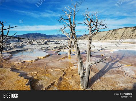 Mammoth Hot Spring Image Photo Free Trial Bigstock