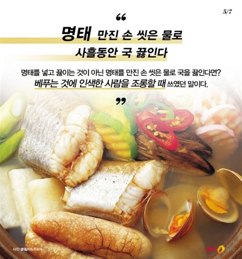 바다정보다잇다 이미지로 보는 속담에 숨겨진 수산물 이야기 머니투데이