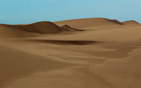 Landscape Sand Desert Dune Sahara Habitat Natural Environment