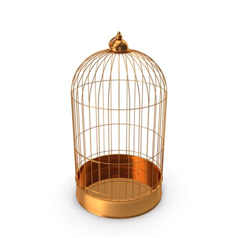 Golden Cage For Bird PNG Images & PSDs for Download | PixelSquid ...