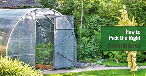 Diy Greenhouse Step By Step Guide To Build A Greenhouse 51 Off