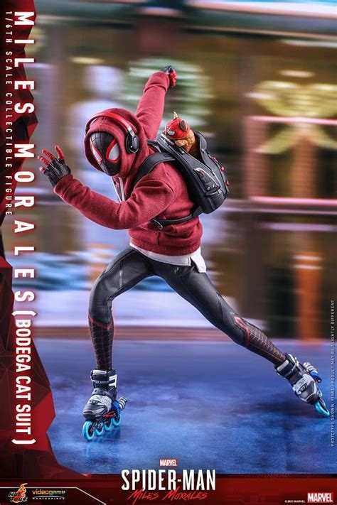 Miles Morales Spider Man Swings To Hot Toys With His Bodega Cat Suit Bodega Cat Hot Toys