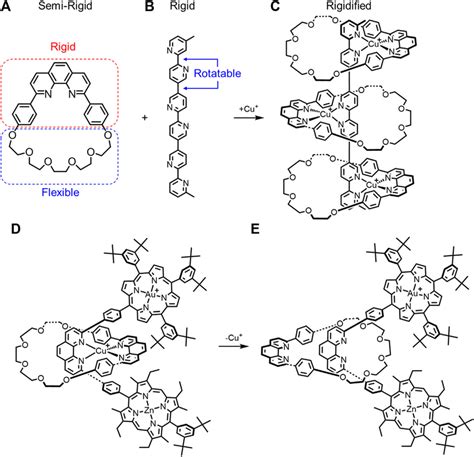 A Semi Rigid Macrocycle And B Rigid Thread Combine To Make A C