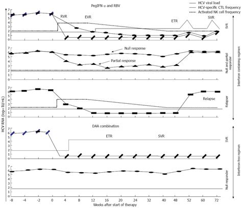 Hcv Viral Load Chart Ponasa
