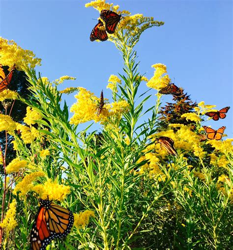 Latest News, Events, and Local Information for Syracuse 16