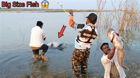 Big Monster Wallago Attu Catfish Catching Big Fish Hunting