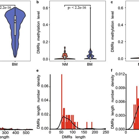 Methylation Characteristics Of Cg Chg And Chh Contexts A