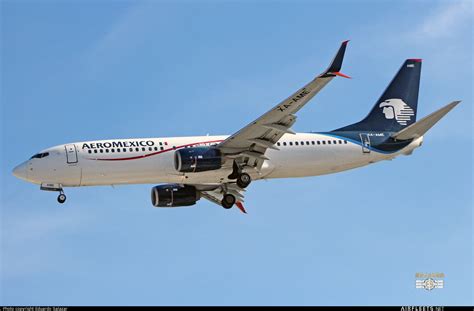 Aeromexico Boeing 737 NG Max XA AME Photo 70238 Airfleets Aviation