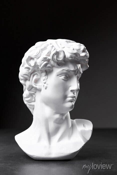 Gypsum Statue Of Davids Head Michelangelos David Statue Plaster Wall