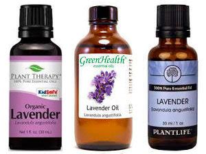 Does Lavender Oil Kill Bed Bugs? The Answer Is Here