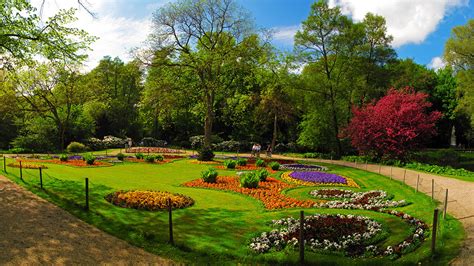 壁紙1920x1080ドイツベルリン公園Tiergarten芝木自然ダウンロード写真