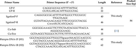 Synthesized Oligonucleotides Sequence Download Scientific Diagram