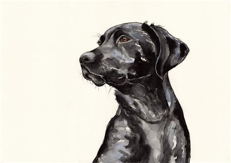 Black Labrador LIMITED EDITION Fine Art Giclée print wall | Etsy