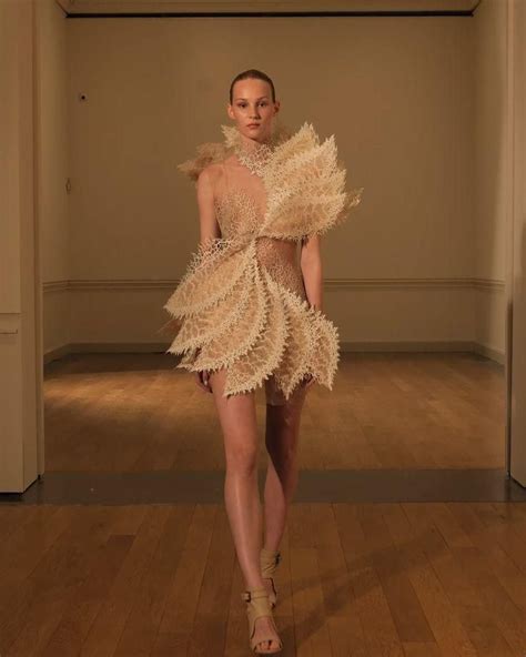 Iris Van Herpen Artofit