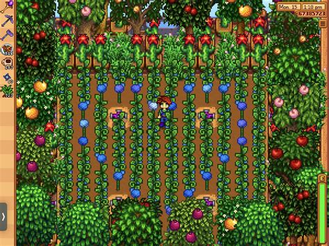 Stardew Greenhouse Sprinkler Layout