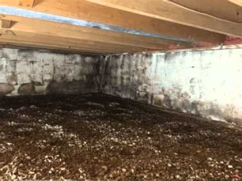 Crawlspace Mold Remediation Crawlspace Mold Cleaning Black Mold