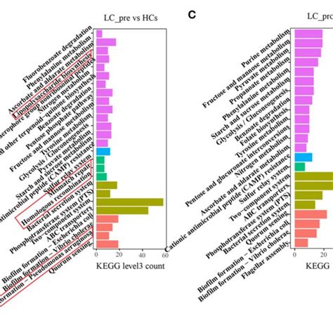 Kegg Pathway Enrichment Analyses A Heatmap Analysis Shows The