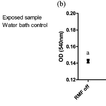 The Influence Of The Rmf With Indicated Frequencies On The Growth Of E