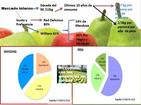 Exportaciones En Fresco De Peras Y De Manzanas