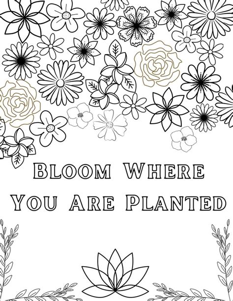 A Coloring Page With Flowers And The Words Bloom Where You Are Planted