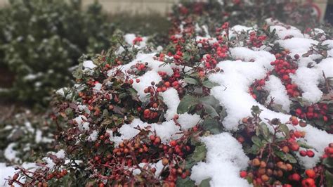 Pogoda Na Dzi Wtorek Zimny I Pochmurny Dzie Miejscami