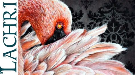 How To Blend Prismacolor Colored Pencils With Paint Thinner Flamingo