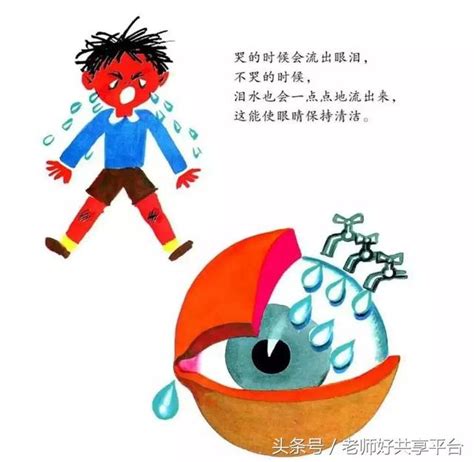 老師好睡前故事｜《科學之友·身體》（眼睛的故事） 每日頭條