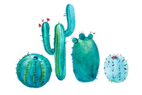 Fiore Appuntito Disegnato A Mano Della Fioritura Del Cactus Dell