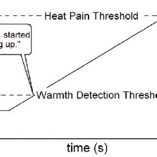 Schematic Of Thermal Quantitative Sensory Testing TQST Method For