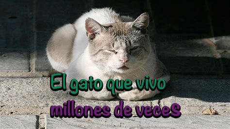 La Historia Del Gato Que Vivio Unmillon De Vidas Youtube