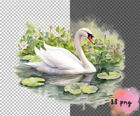 Swans Watercolor Clipart Cute Elegant Cartoon Black Swans - Etsy