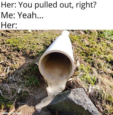 Of Course I Did Babe Memes