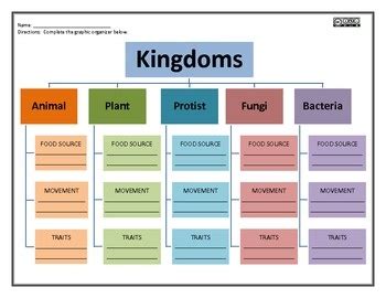 biology: 48+ Biology 6 Kingdoms Chart Background