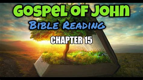 Gospel Of John Chapter 15 Youtube