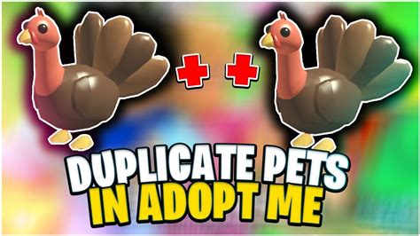 How To Duplicate Any Pet In Roblox Adopt Me Glitch Youtube