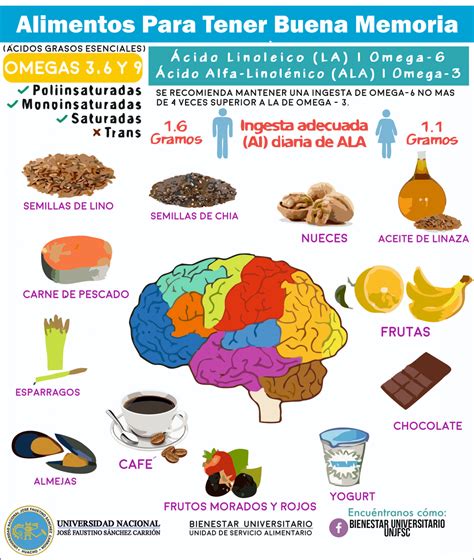 Alimentos Para Tener Buena Memoria Oficina De Bienestar Universitario