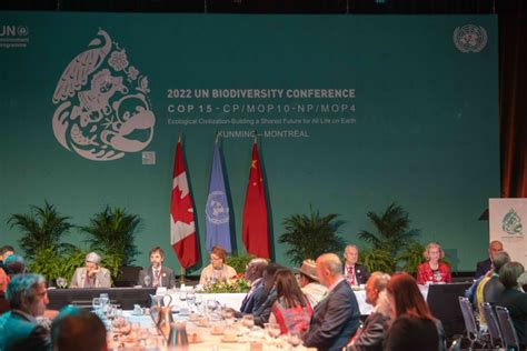 Spotlight On Nature And Biodiversity Unep Un Environment Programme