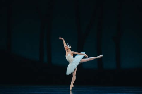 Swan Lake (The Australian Ballet) - touring