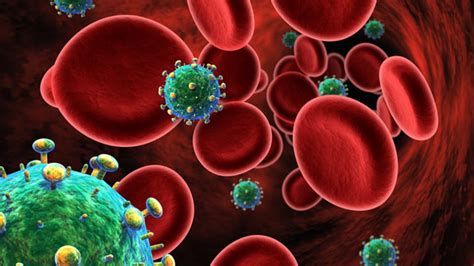 Hiv Cure ‘within Months According To Danish Scientists