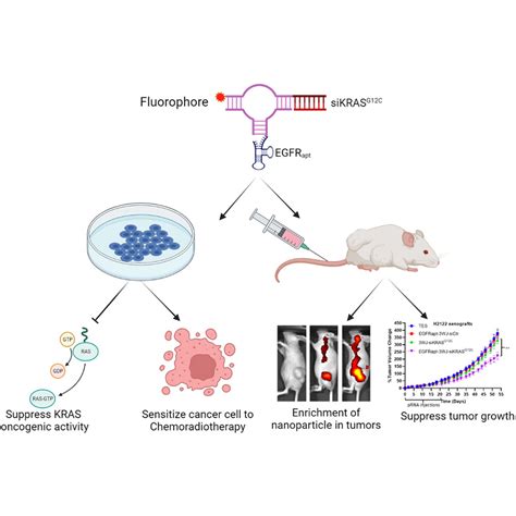 Targeting Oncogenic KRAS In Non Small Cell Lung Cancer With EGFR